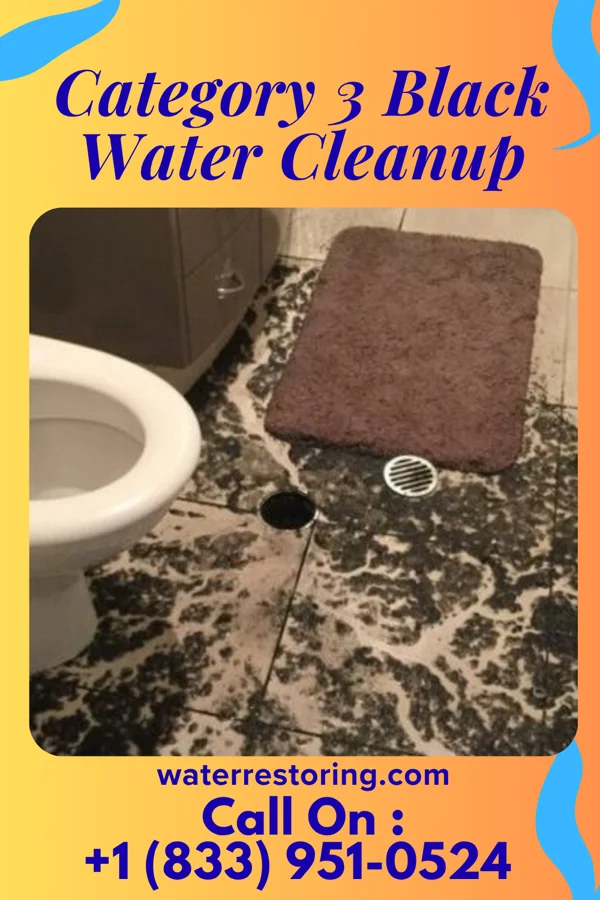 Category 3 Black Water Cleanup in Galena, IL
